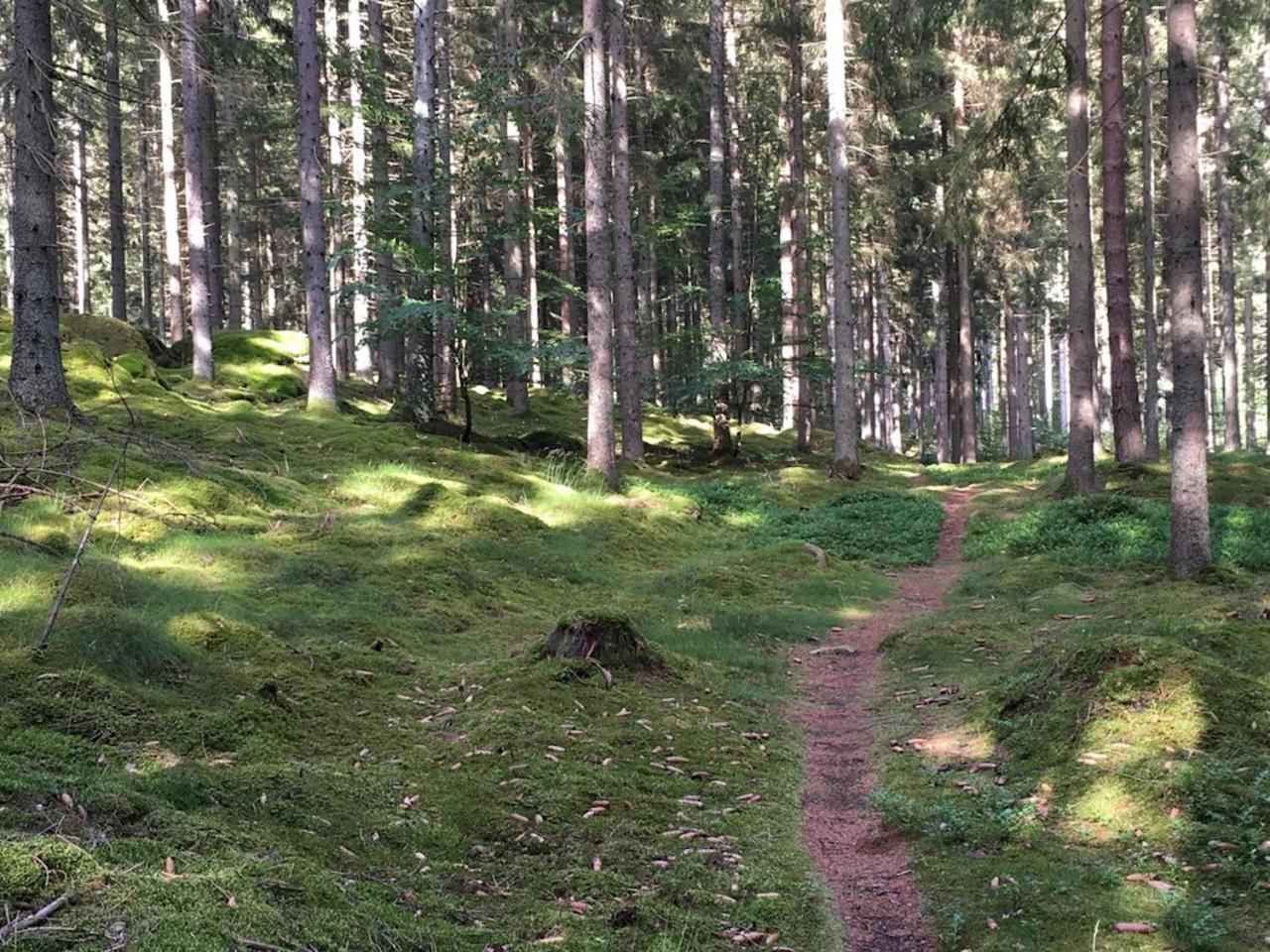 Villa Lille Carlsson Broby Esterno foto
