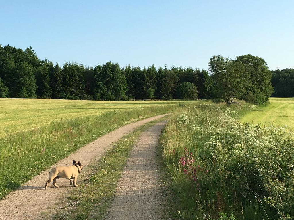 Villa Lille Carlsson Broby Esterno foto